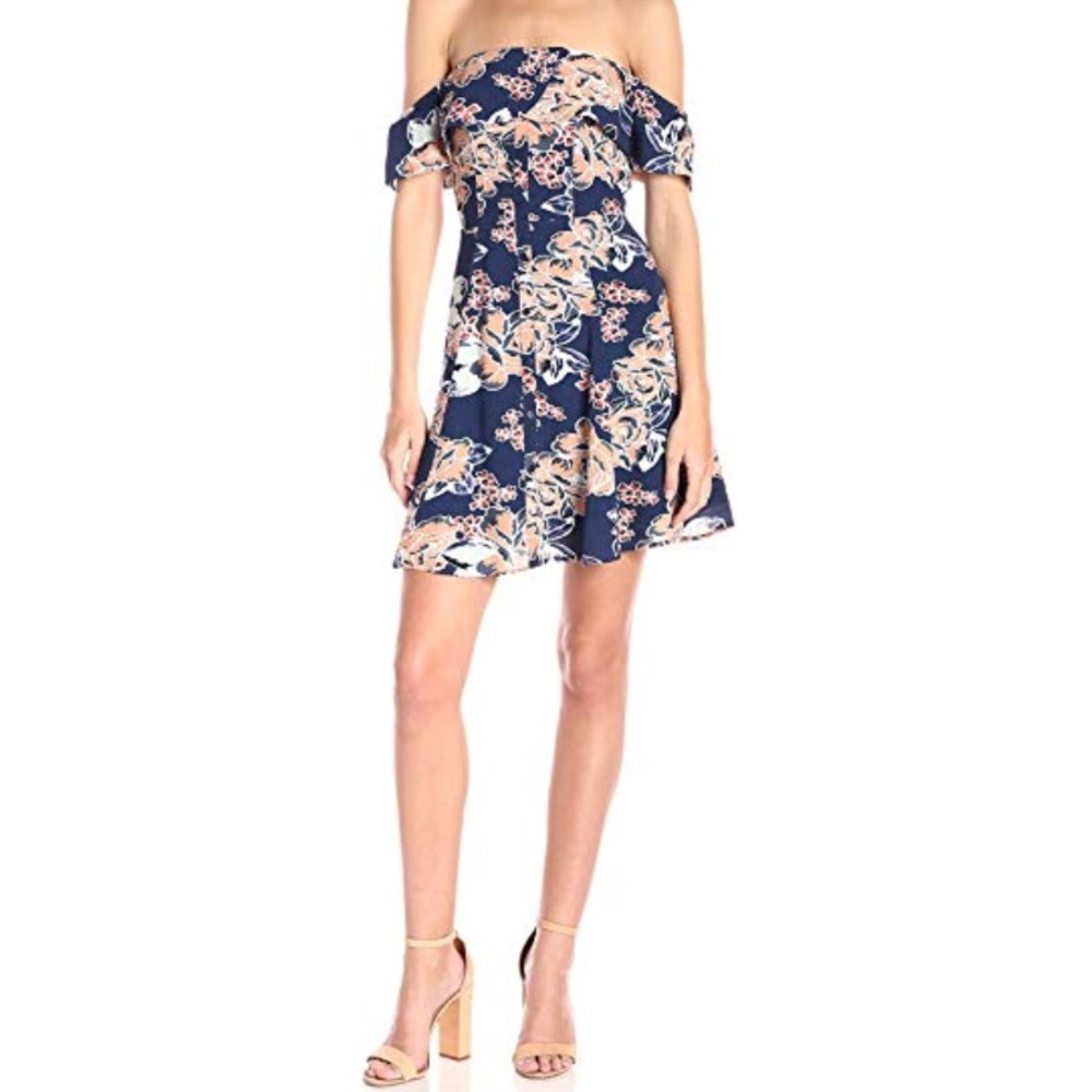 Lovers + Friends Vineyard Floral Dress